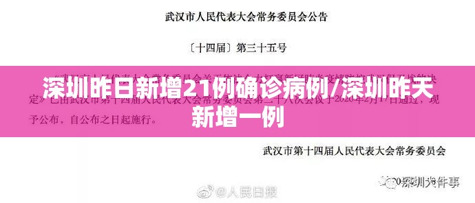 深圳昨日新增21例确诊病例/深圳昨天新增一例