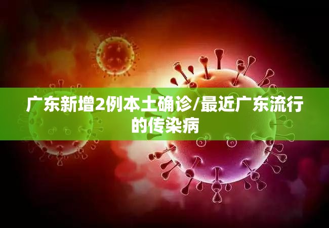 广东新增2例本土确诊/最近广东流行的传染病