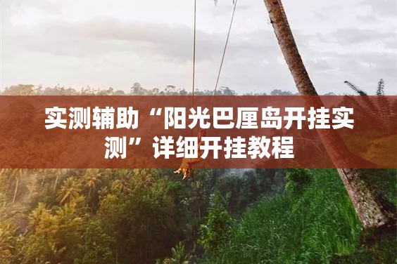 实测辅助“阳光巴厘岛开挂实测”详细开挂教程