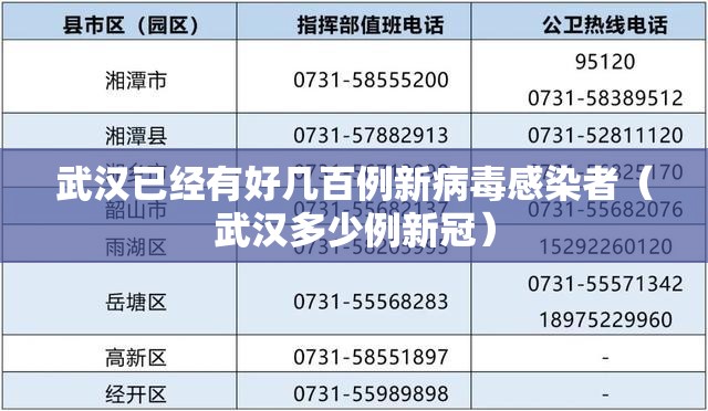 武汉已经有好几百例新病毒感染者（武汉多少例新冠）