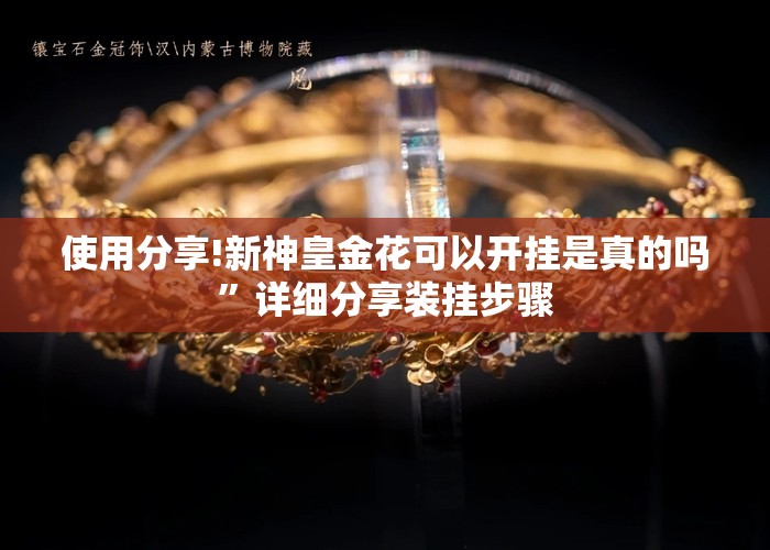 使用分享!新神皇金花可以开挂是真的吗”详细分享装挂步骤