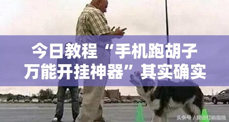 今日教程“手机跑胡子万能开挂神器	”其实确实有挂