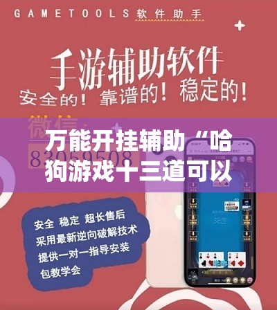 万能开挂辅助“哈狗游戏十三道可以开挂吗”(透视)其实确实有挂