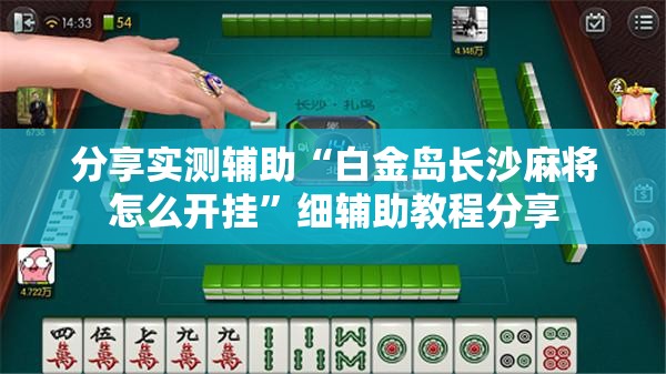 分享实测辅助“白金岛长沙麻将怎么开挂”细辅助教程分享