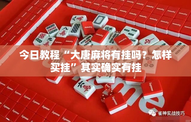 今日教程“大唐麻将有挂吗？怎样买挂”其实确实有挂