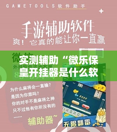 实测辅助“微乐保皇开挂器是什么软件”科技辅助神器手机版