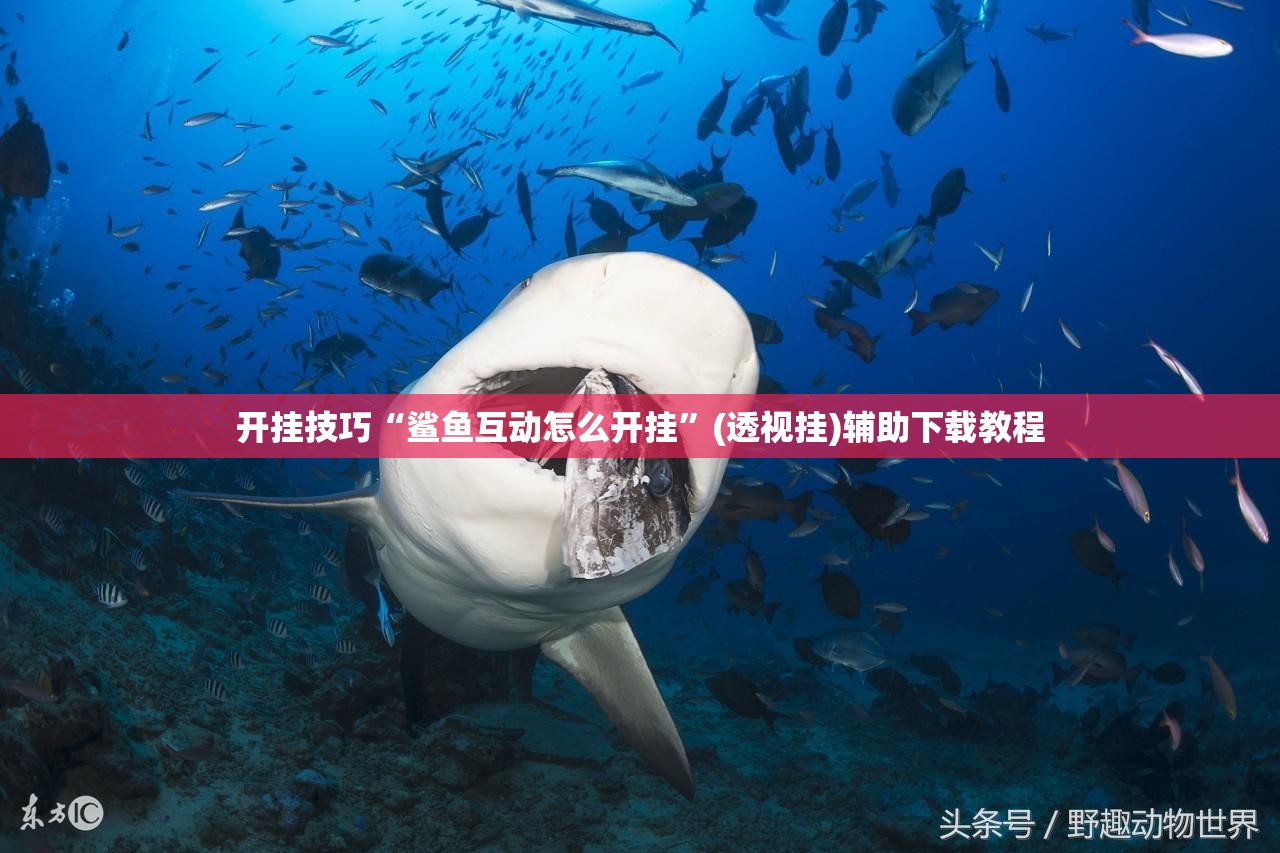 开挂技巧“鲨鱼互动怎么开挂	”(透视挂)辅助下载教程