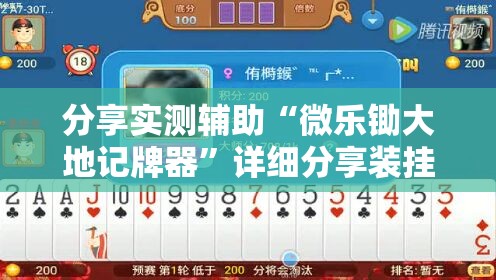 分享实测辅助“微乐锄大地记牌器	”详细分享装挂步骤