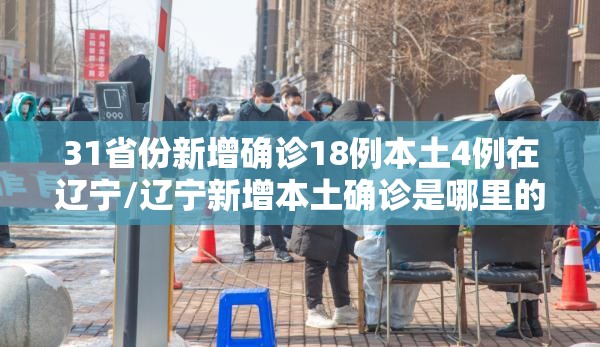 31省份新增确诊18例本土4例在辽宁/辽宁新增本土确诊是哪里的