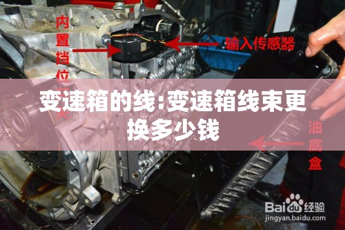 变速箱的线:变速箱线束更换多少钱