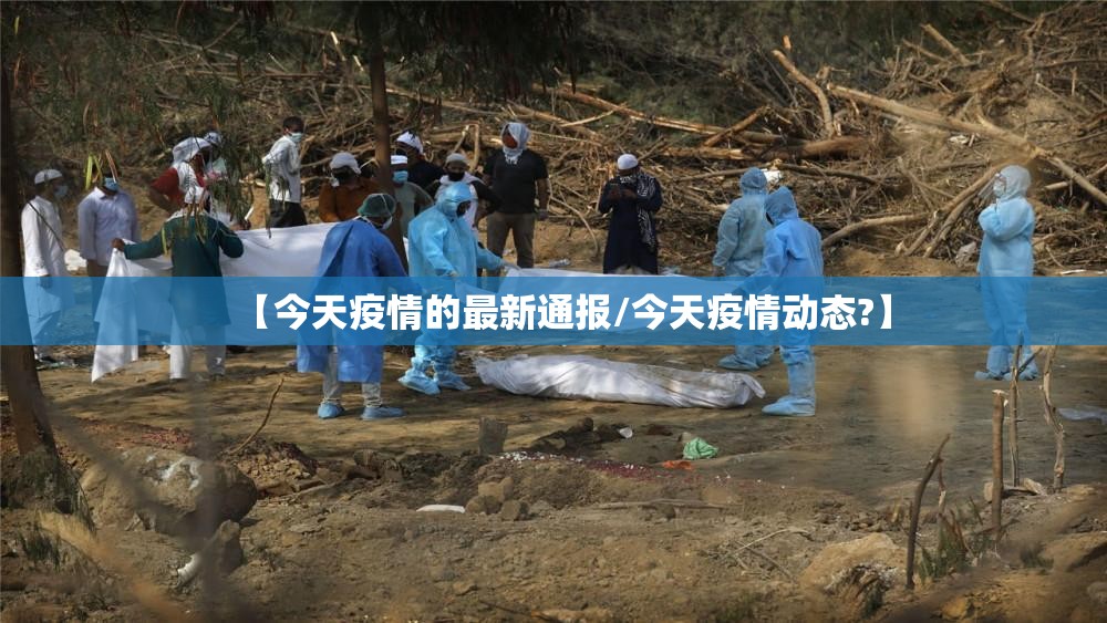 【今天疫情的最新通报/今天疫情动态?】