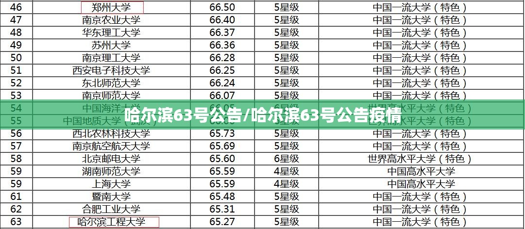 哈尔滨63号公告/哈尔滨63号公告疫情