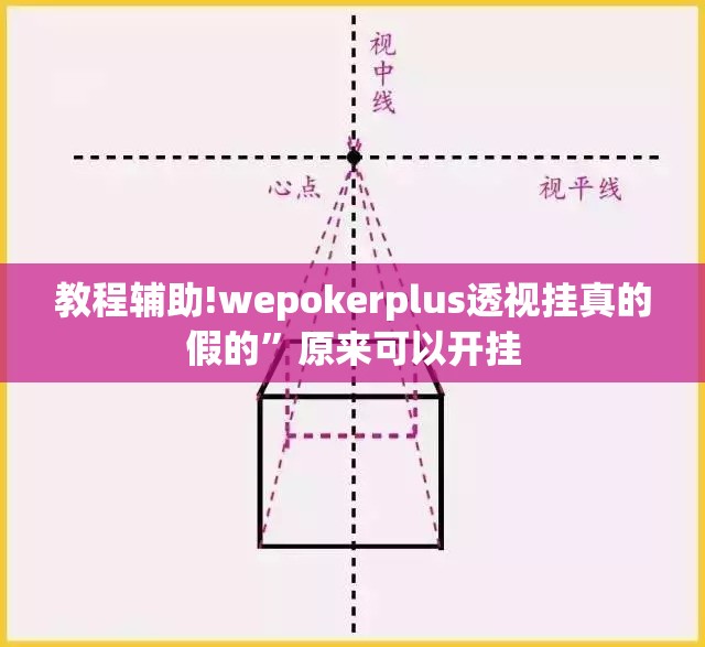 教程辅助!wepokerplus透视挂真的假的	”原来可以开挂