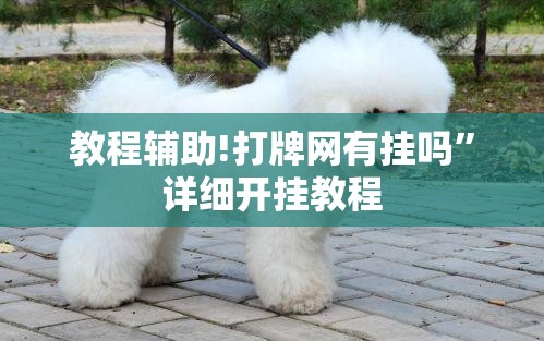 教程辅助!打牌网有挂吗”详细开挂教程