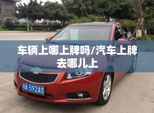 车辆上哪上牌吗/汽车上牌去哪儿上