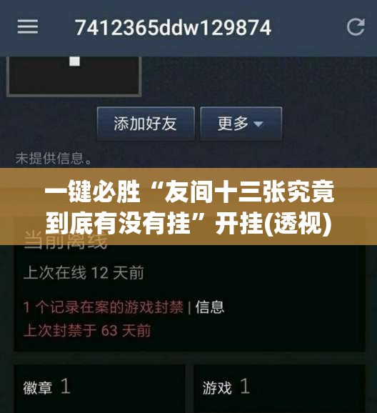 一键必胜“友间十三张究竟到底有没有挂”开挂(透视)辅助神器