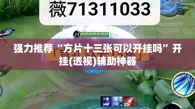 强力推荐“方片十三张可以开挂吗”开挂(透视)辅助神器