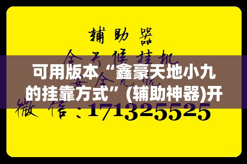 可用版本“鑫豪天地小九的挂靠方式	”(辅助神器)开挂详细教程
