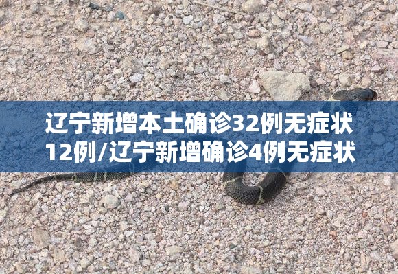 辽宁新增本土确诊32例无症状12例/辽宁新增确诊4例无症状5例