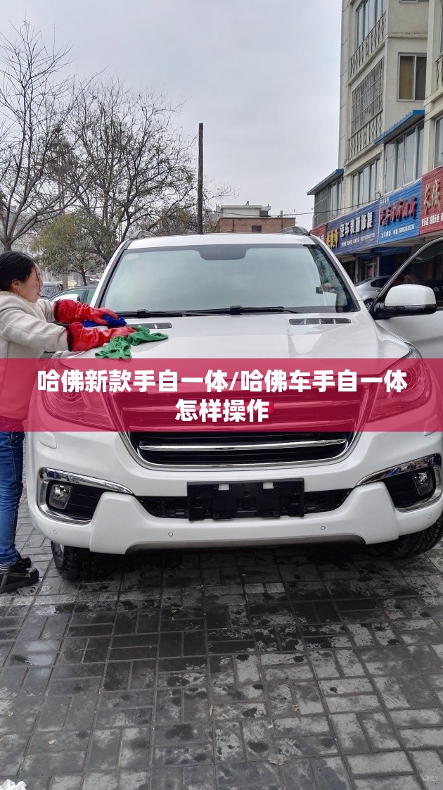 哈佛新款手自一体/哈佛车手自一体怎样操作