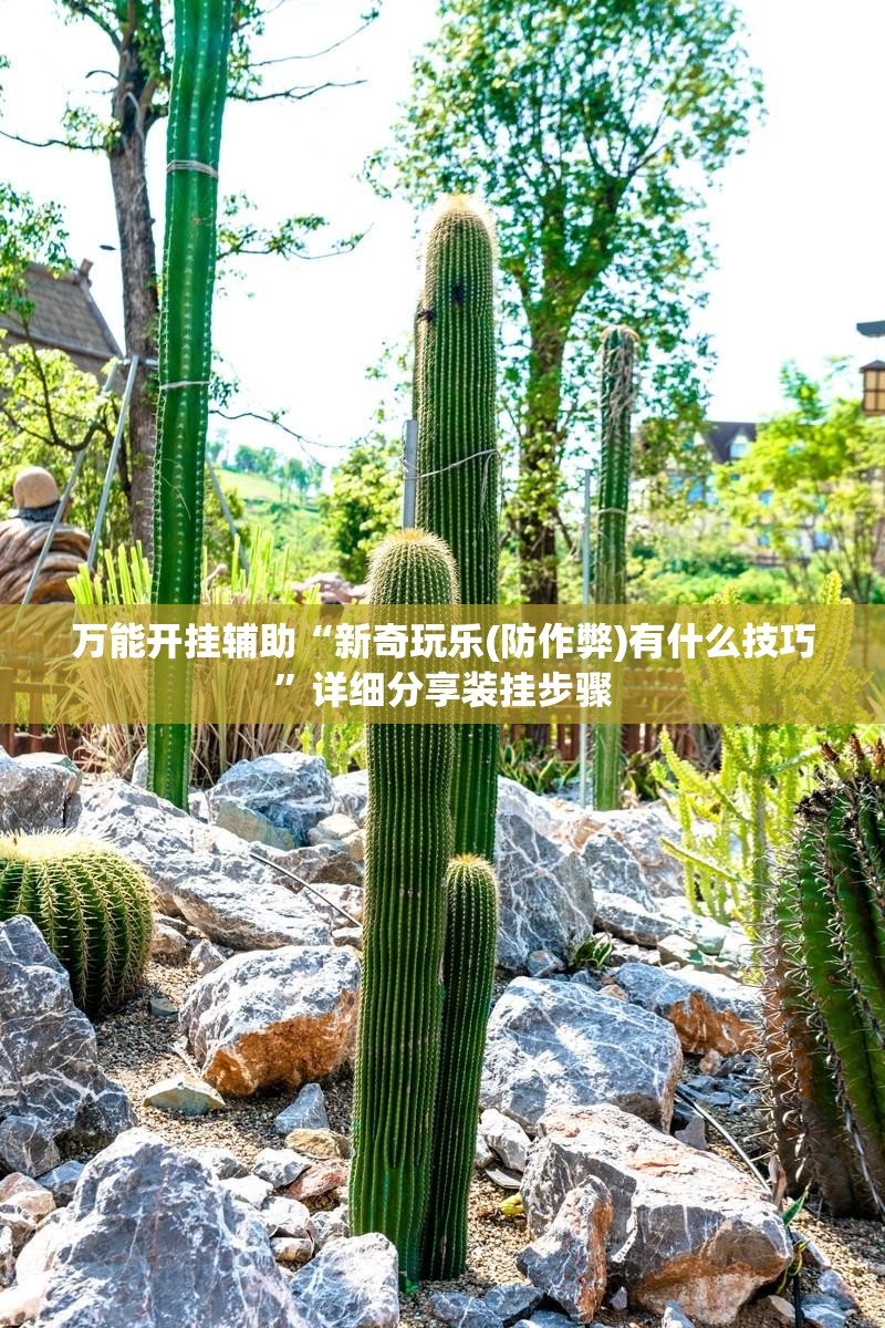 万能开挂辅助“新奇玩乐(防作弊)有什么技巧”详细分享装挂步骤
