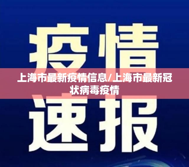 上海市最新疫情信息/上海市最新冠状病毒疫情 上海市最新疫情信息/上海市最新冠状病毒疫情