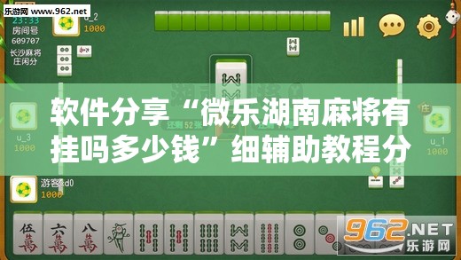 软件分享“微乐湖南麻将有挂吗多少钱	”细辅助教程分享