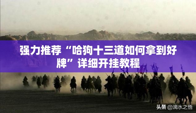 强力推荐“哈狗十三道如何拿到好牌”详细开挂教程