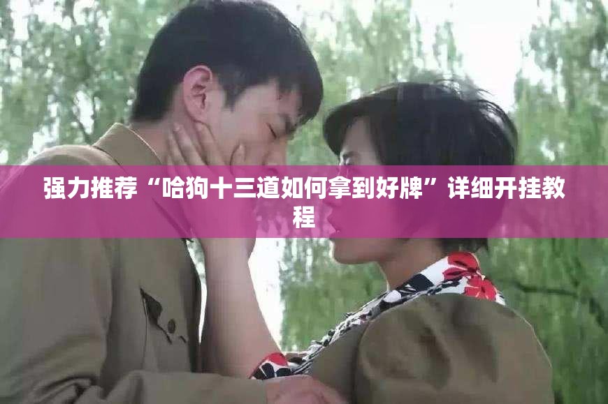 强力推荐“哈狗十三道如何拿到好牌	”详细开挂教程