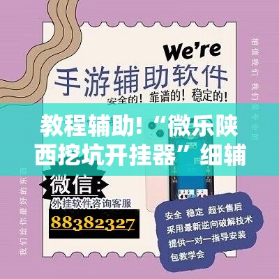 教程辅助!“微乐陕西挖坑开挂器”细辅助教程分享