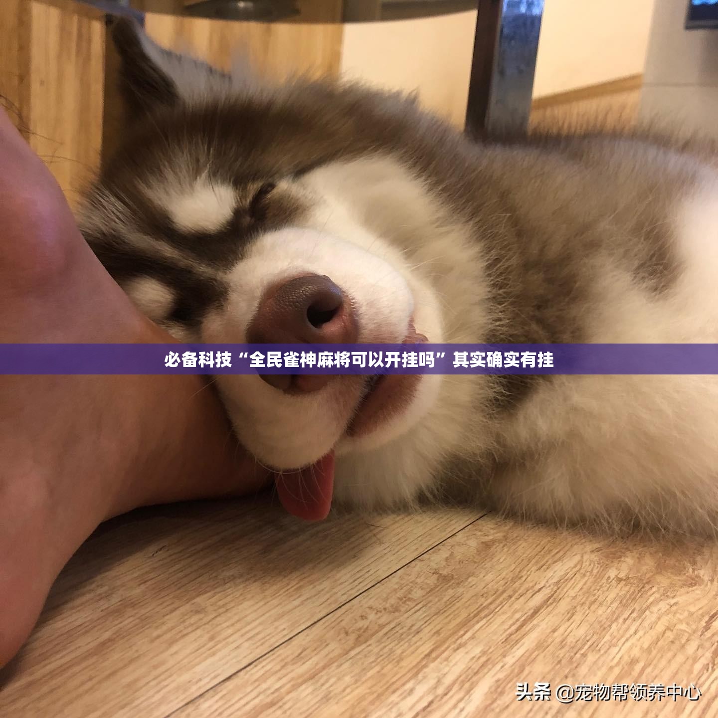 必备科技“全民雀神麻将可以开挂吗	”其实确实有挂
