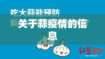 关于蒜疫情的信息