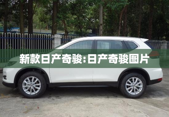 新款日产奇骏:日产奇骏图片