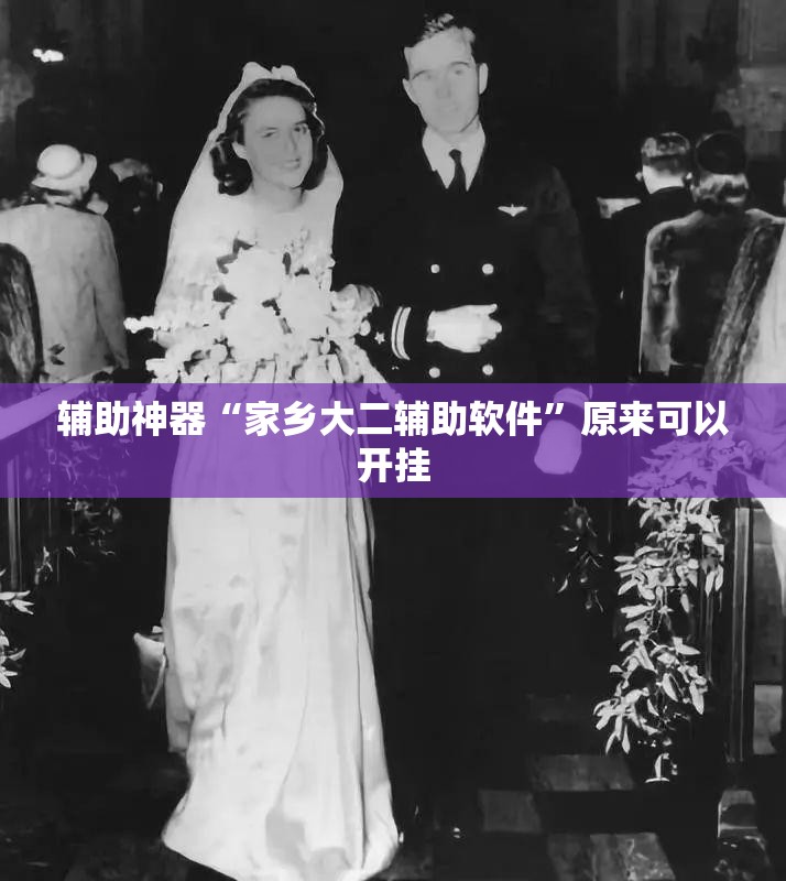 辅助神器“家乡大二辅助软件	”原来可以开挂