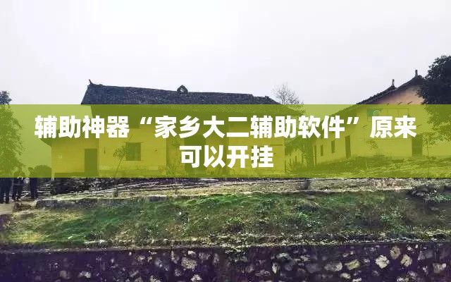 辅助神器“家乡大二辅助软件”原来可以开挂