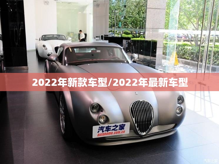 2022年新款车型/2022年最新车型