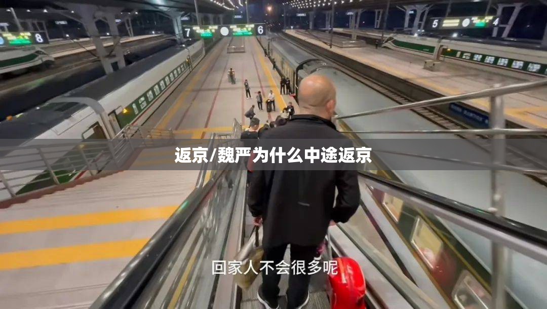 返京/魏严为什么中途返京 返京/魏严为什么中途返京