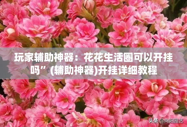 玩家辅助神器：花花生活圈可以开挂吗”(辅助神器)开挂详细教程