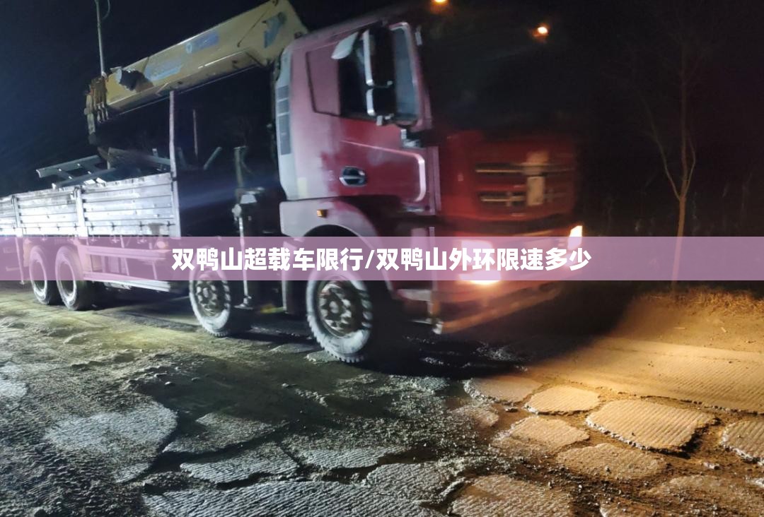 双鸭山超载车限行/双鸭山外环限速多少 双鸭山超载车限行/双鸭山外环限速多少