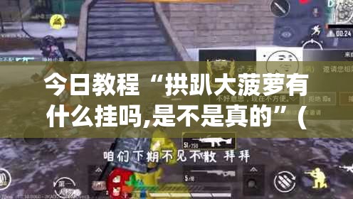 今日教程“拱趴大菠萝有什么挂吗,是不是真的”(辅助神器)开挂详细教程
