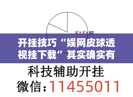开挂技巧“娱网皮球透视挂下载”其实确实有挂