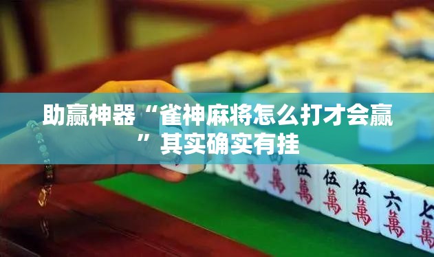 助赢神器“雀神麻将怎么打才会赢”其实确实有挂