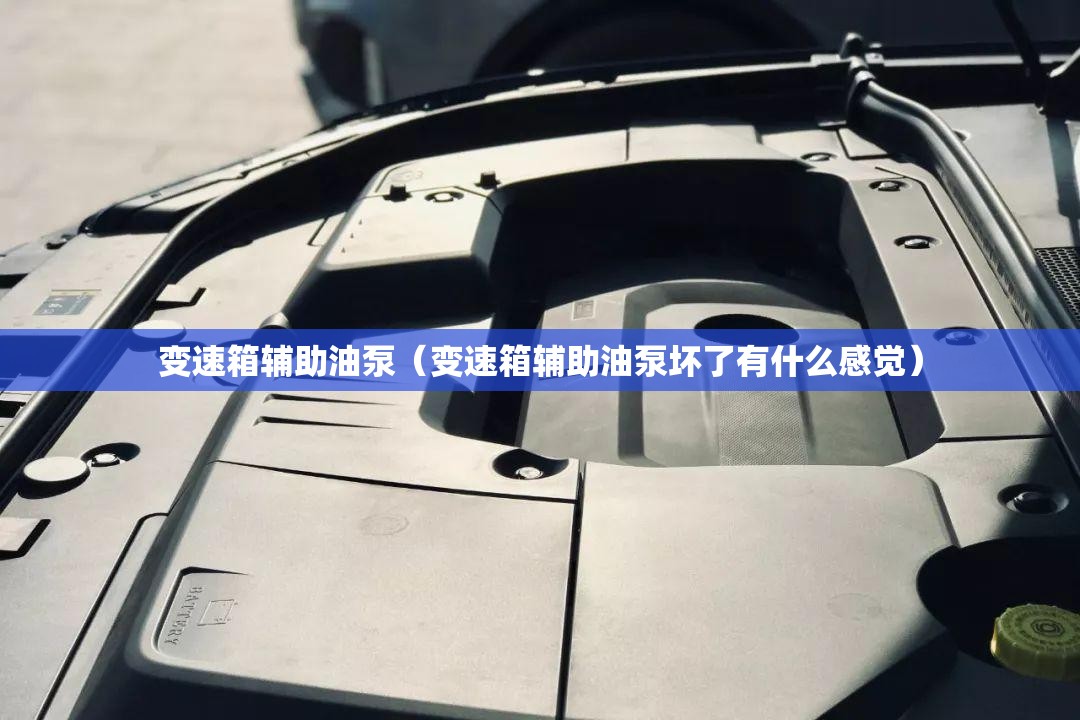 变速箱辅助油泵(变速箱辅助油泵坏了有什么感觉) 变速箱辅助油泵(变速箱辅助油泵坏了有什么感觉)