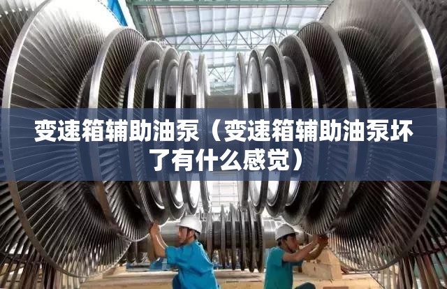 变速箱辅助油泵(变速箱辅助油泵坏了有什么感觉) 变速箱辅助油泵(变速箱辅助油泵坏了有什么感觉)