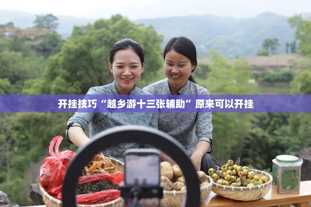 开挂技巧“越乡游十三张辅助”原来可以开挂