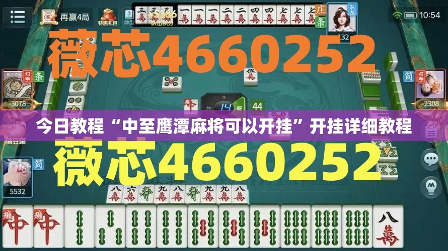 今日教程“中至鹰潭麻将可以开挂”开挂详细教程