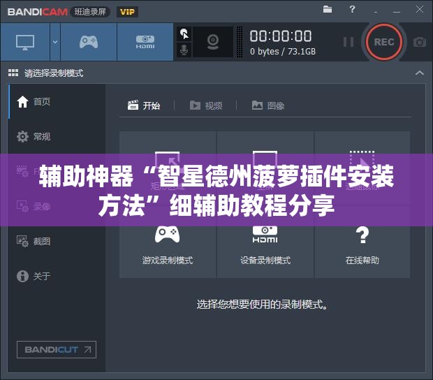 辅助神器“智星德州菠萝插件安装方法	”细辅助教程分享