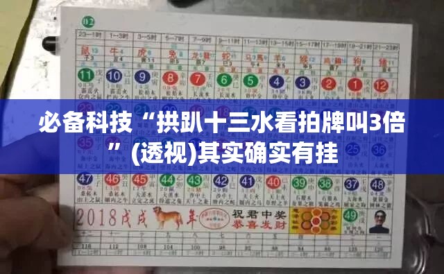 必备科技“拱趴十三水看拍牌叫3倍”(透视)其实确实有挂