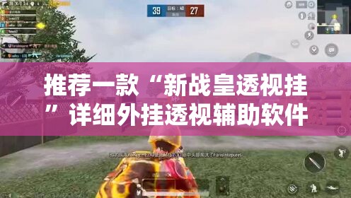 推荐一款“新战皇透视挂”详细外挂透视辅助软件教程