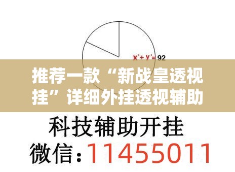 推荐一款“新战皇透视挂	”详细外挂透视辅助软件教程